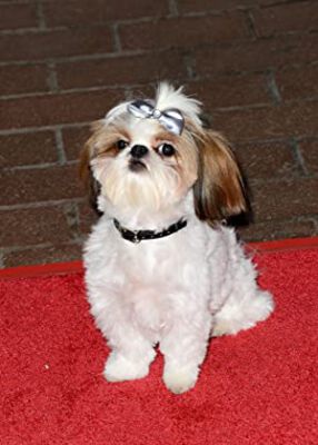 Official profile picture of Bonny