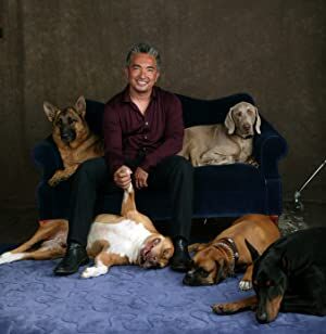 Official profile picture of Cesar Millan