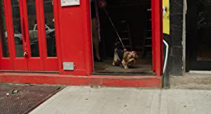 Official profile picture of ZsaZsa Gabone