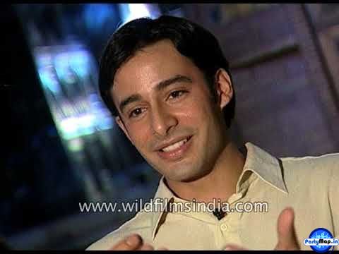 Photo of Zulfi Sayed at a concert