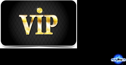 Photo of VIP at a concert