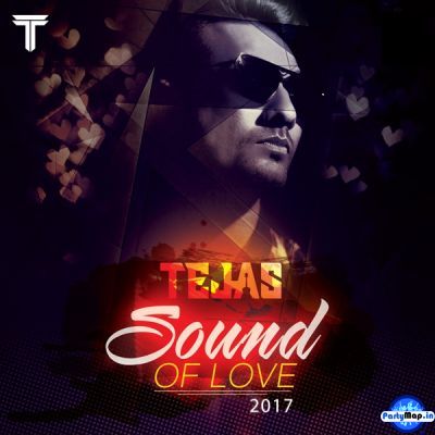 Photo of DJ Tejas at a show