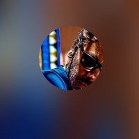 songs by Al Di Meola