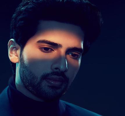 Photo of Armaan Malik at a concert