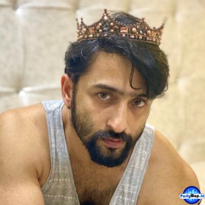 Photo of Shaheer Sheikh at a concert